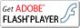 Scarica Flash Player