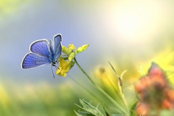 Esistere e vivere nonostante la malattia