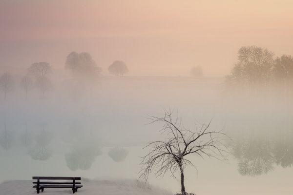 Candida: un disturbo difficile da debellare