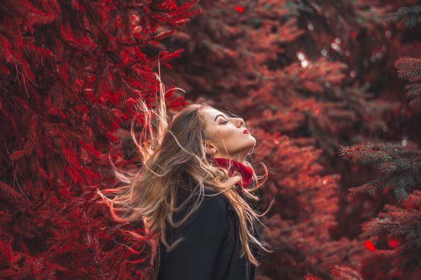 Patologie cardiovascolari nella donna: fattori di rischio femminili