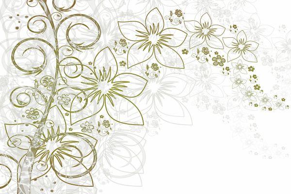 Funzione riproduttiva femminile: impatto dell'obesità. Uno studio inglese