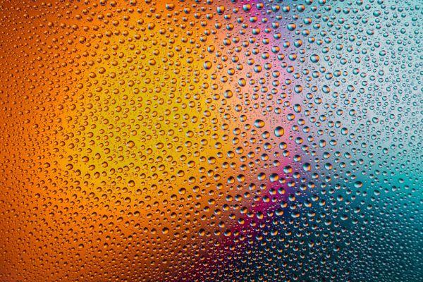 Fibromatosi uterina: un promettente trattamento a base di vitamina D ed epigallocatechina gallato