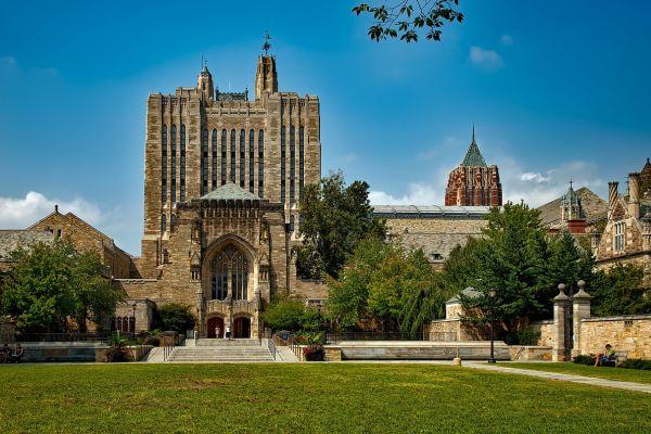 Docenti universitarie e leadership: il Women’s Leadership Development Program dell’Università di Yale