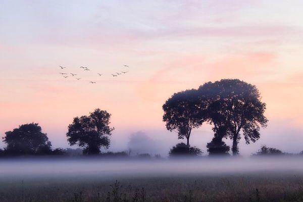 Lupus eritematoso sistemico ed esiti della gravidanza