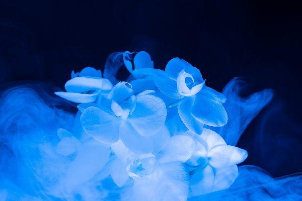 Endometriosi: la difficoltà di comunicare il proprio dolore