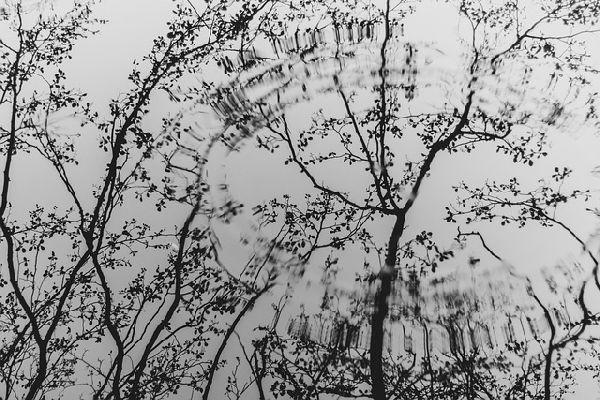 Età alla menopausa e funzioni cognitive: una correlazione complessa