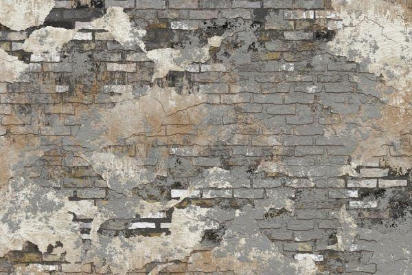 Vita e sofferenza: alla ricerca del senso 