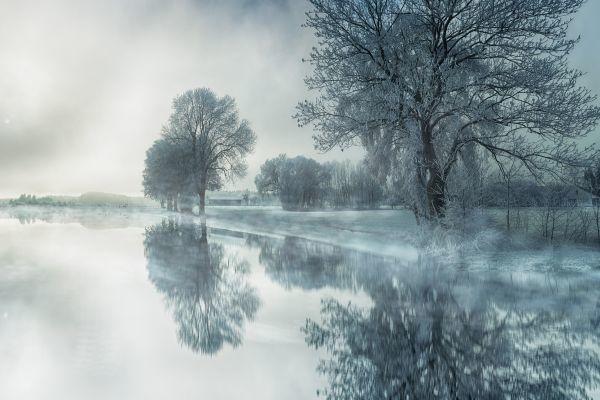 Nell'inverno della vita, verso la primavera