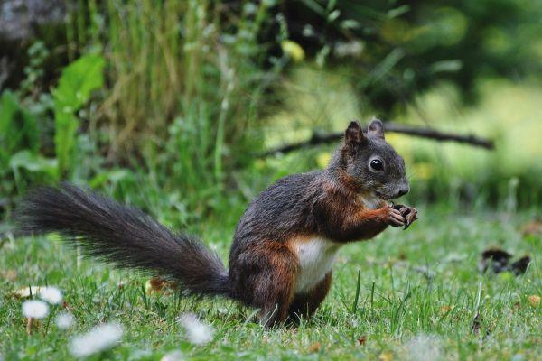 Enzo Bianchi: la speranza nel dopo nasce dall'amore per l'oggi