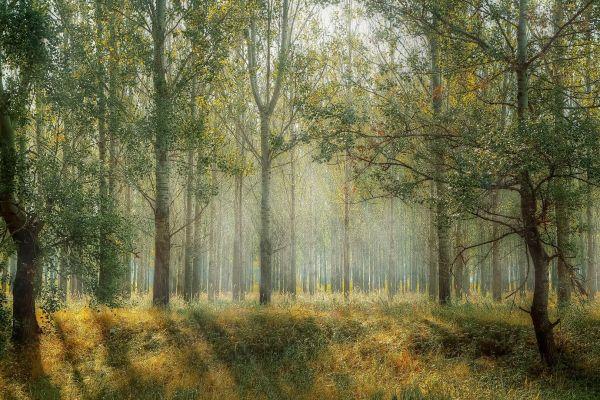 La speranza, fondamento del senso e della vita