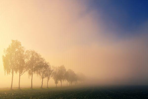 Terapia della menopausa: il mio cielo è tornato sereno