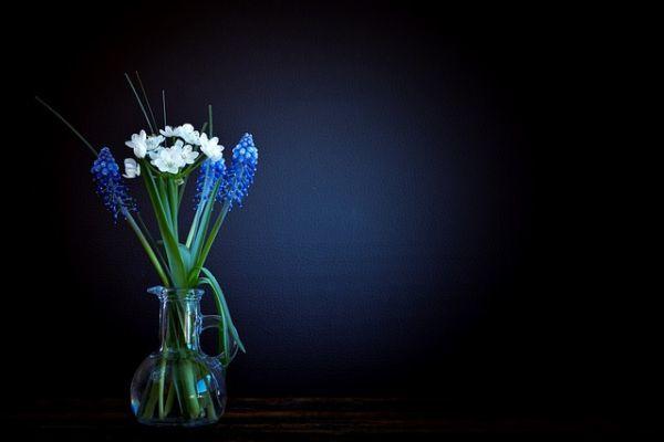 Celiaca e in menopausa: ma con le giuste cure mi sento molto meglio