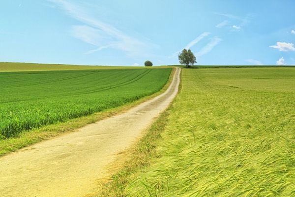 Un punto di riferimento, per uscire dal tunnel del dolore