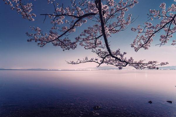 Ottantasette anni: dopo 35 di terapia ormonale, il cervello scintilla ancora