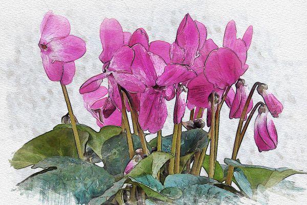 Endometriosi: dolore sessuale e disfunzioni sessuali femminili in comorbilità