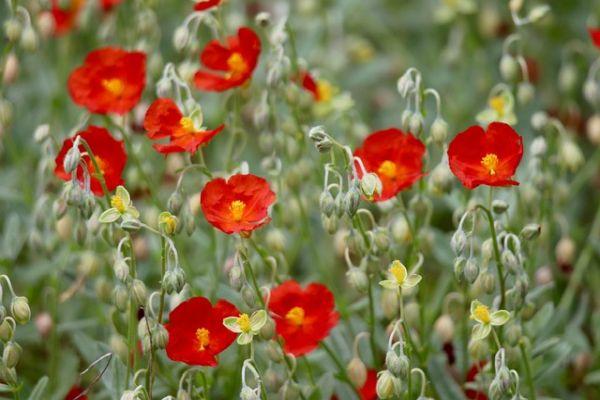 Ormoni: il loro corretto funzionamento dipende dalla qualità del sonno