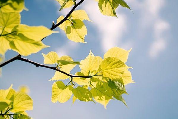 Cistite: come si diagnostica, come si cura