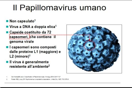 ricerca sul papilloma virus